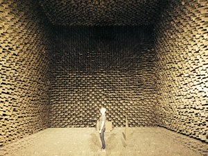 Anechoic Chamber (c) Simon McBurney